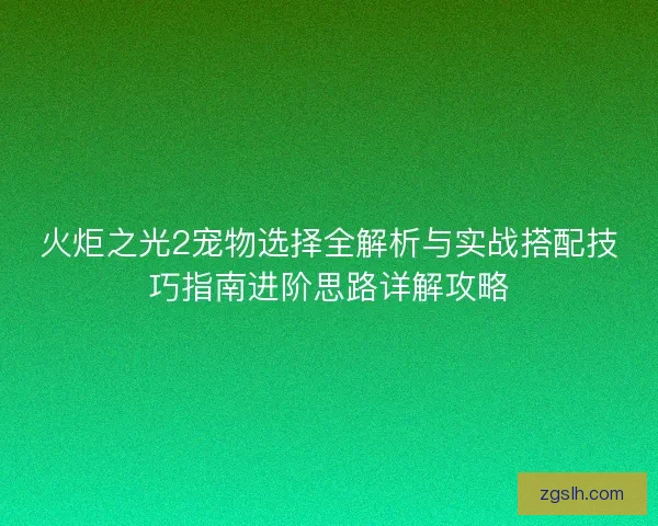 火炬之光2宠物选择全解析与实战搭配技巧指南进阶思路详解攻略